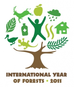 2011 - Año Internacional Bosques